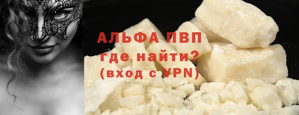 стафф Алзамай