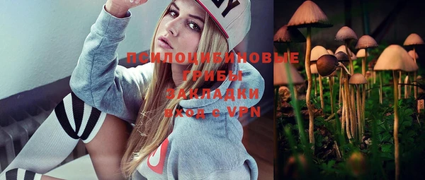 стафф Алзамай