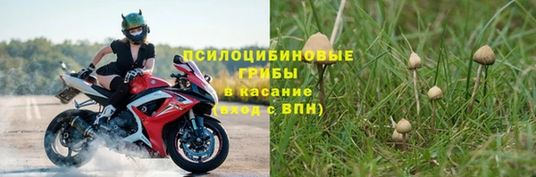 экстази Алексеевка