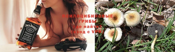 стафф Алзамай